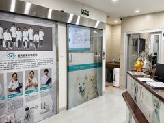 -谐和益家动物医院·免疫绝育·血液透析·宠保定点医院(高新伊藤分院)