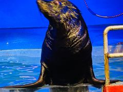 -太平洋海底世界