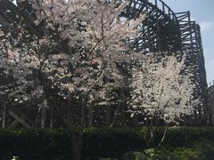 -必胜客宅急送(真北乐购店)