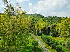 -大唐贡茶院
