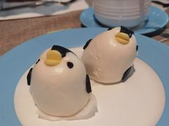 -帝企鹅自助餐厅•儿童岛•真企鹅(长隆企鹅酒店)