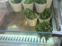 -金喜娜无限自助烤肉(泰达永旺店)