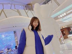 -武汉光谷K11
