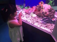 -蓬莱欧乐堡海洋极地世界