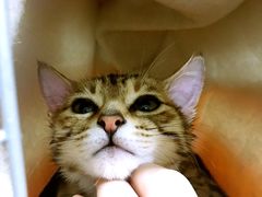 -宠颐生中康贝怡动物医院