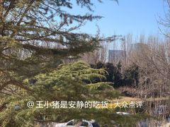 -春晖园度假酒店温泉