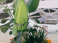 -陈鹏鹏潮汕菜(宝安机场T3航站楼店)