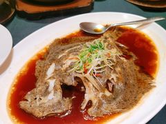 清蒸多宝鱼-旺顺阁海鲜广场(亚运村店)
