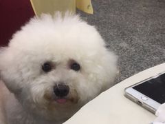 -金凤酒楼(金陵路店)