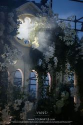 -琥珀婚礼策划AMBER WEDDING