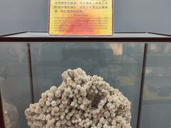 -游龙石文化科普馆