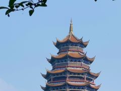 -铁山坪森林公园
