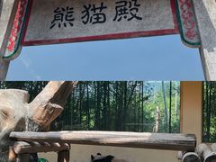 -杭州野生动物世界