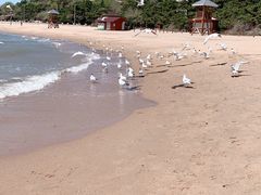 -北戴河东海水浴场