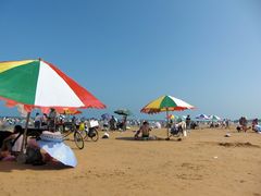 -日照海滨国家森林公园