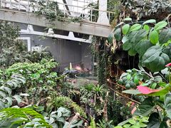 -正佳雨林生态植物园