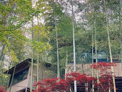 -宁波浙东大竹海景区