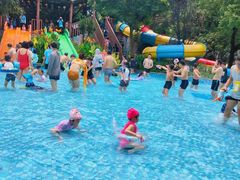 -苏州乐园森林水世界