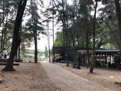 -南宁良凤江国家森林公园