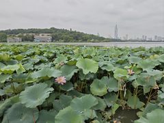 -世纪缘湖滨花园酒店(玄武湖店)