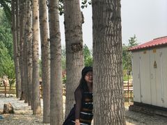 -燕郊植物园