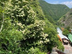 -双龙峡