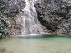 -南海湾森林生态园