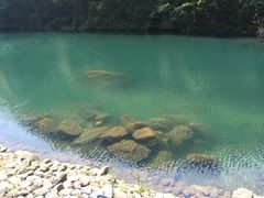 -祁门牯牛降观音堂风景区