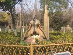 -自然谷恐龙园