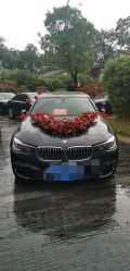 -蚂蚁婚车