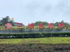 -三峡古玩城(泰古广场店)