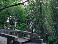 -深圳仙湖植物园