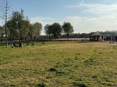 -汉长安城未央宫国家考古遗址公园