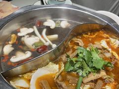 -古乐牛香·鲜牛肉牛杂火锅(千灯店)