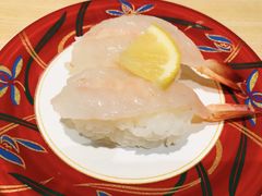 -大起水产回转寿司(道顿堀店)