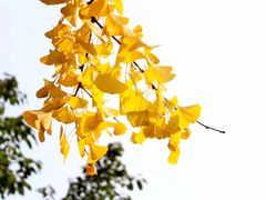 -西南政法大学(渝北校区)