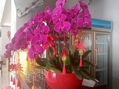 -全聚德烤鸭店(马家堡店)