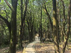-火炉山森林公园
