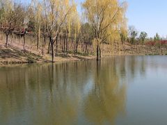 -东郊湿地公园