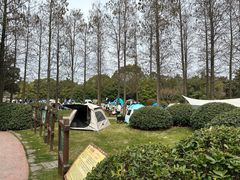 -上海野生动物园
