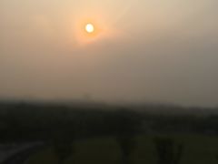 -春花秋色城市公园