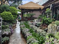 -山菌美食苑(振兴路店)