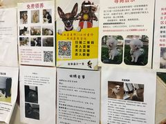 -北京佳信宠物医院