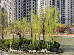 -苏州河梦清园环保主题公园