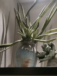 -香秀空间科技抗衰·美容中心