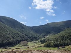 -天天向上素食餐厅(五台山店)