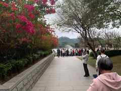 -顺峰山公园