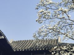 -耦园