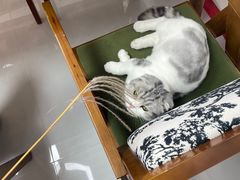 -seeu coffee(江滩店)