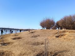 -丁香湖公园